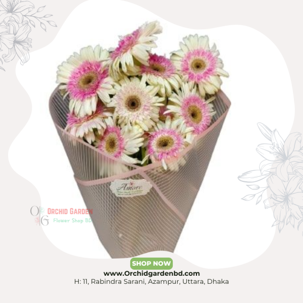 White–Pink Gerbera Premium Bouquet