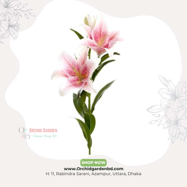 Pink Lily Premium Green Foliage Long Stem Arrangement