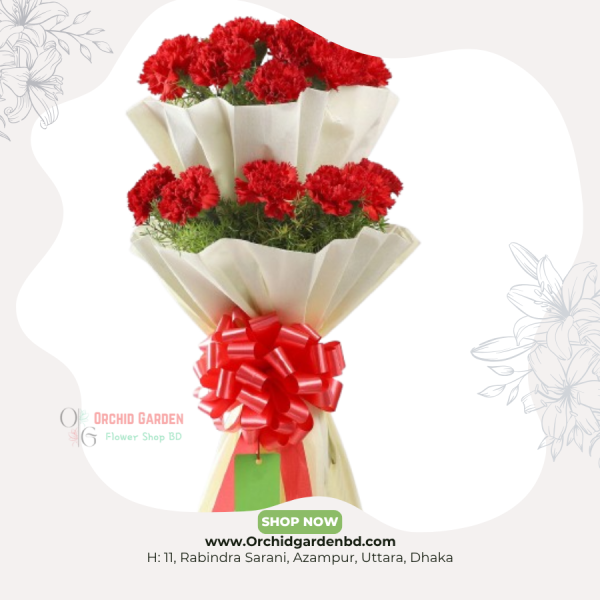Red Carnation Premium Bouquet