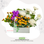 Yellow White Box Arrangement