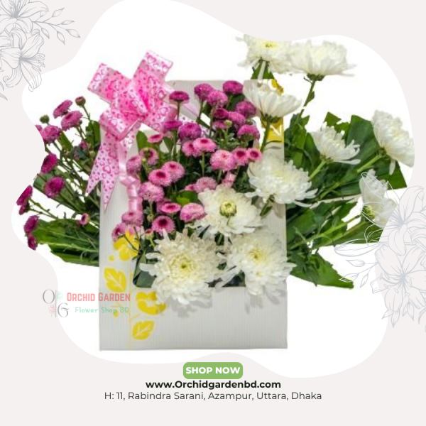 Pink & White Mix Bloom Box