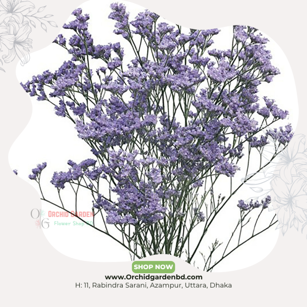 Purple Gypsy Statice Flower