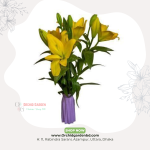 Bangladeshi Lily 3 Pieces - 1 Stick