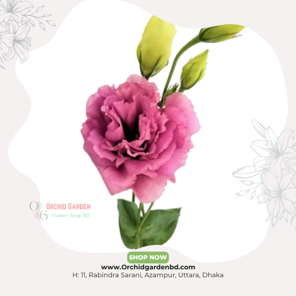 Eustoma Flower Stick 1 Piece