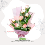 Elegant Peach Pink Rose Love