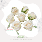 White Rose Head (Loose Artificial Rose Head)