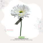 White Premium Single Flower Stick
