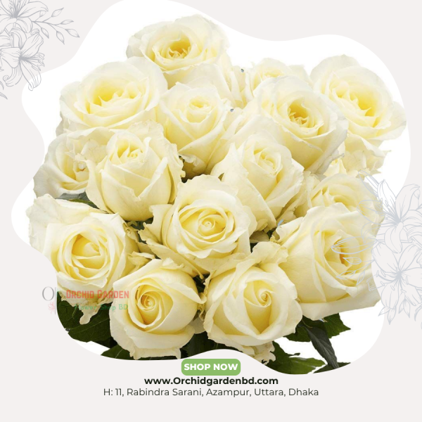 Cream Color Chinese Rose 1 Piece