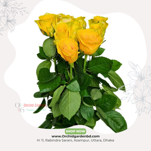 Yellow Chinese Rose 1 Piece