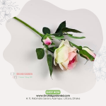 Soft Pink & White Fresh Rose Stem