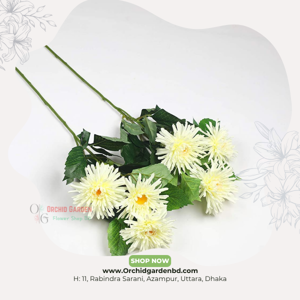 White Chandramollika Premium Bloom