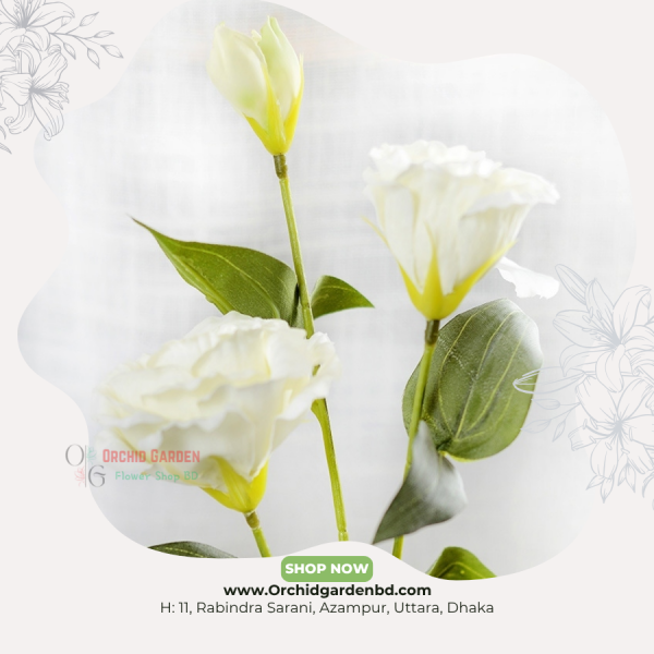 White Lisianthus Fresh Flower Stem