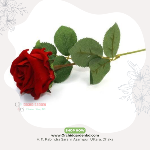 Red Rose Local 1 Piece