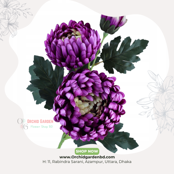 Purple Chandramollika Stem