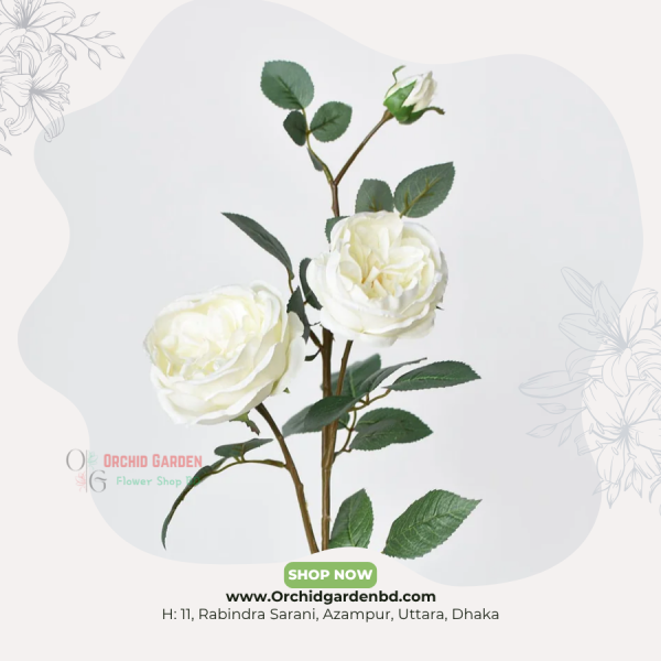 White Premium Rose Stem