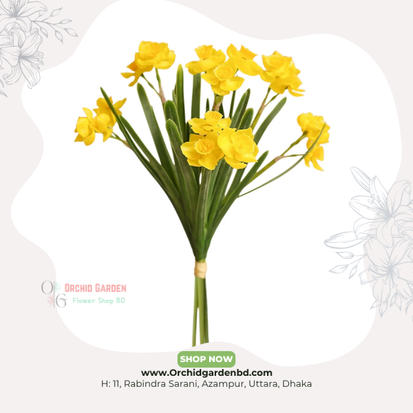 Yellow Mini Narcissus