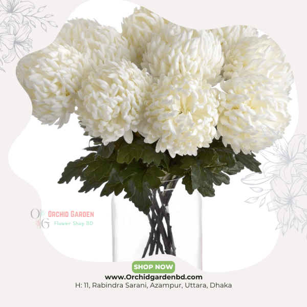 White Snowball Bunch