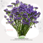 Purple Statice Fresh Flower Bunch
