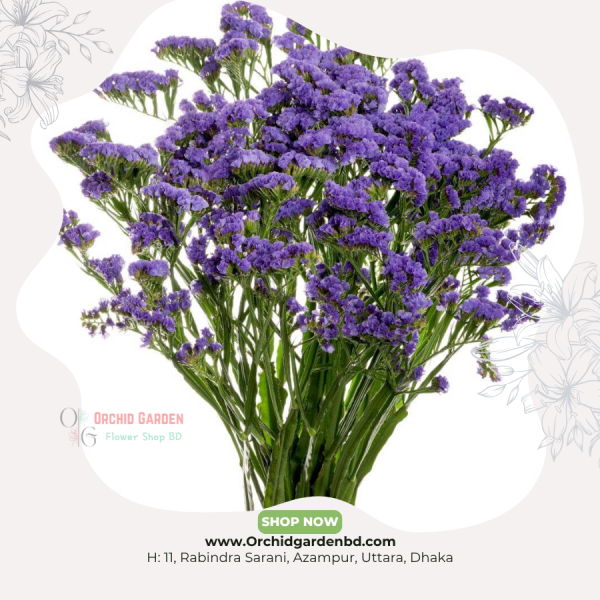 Purple Statice Fresh Flower Bunch