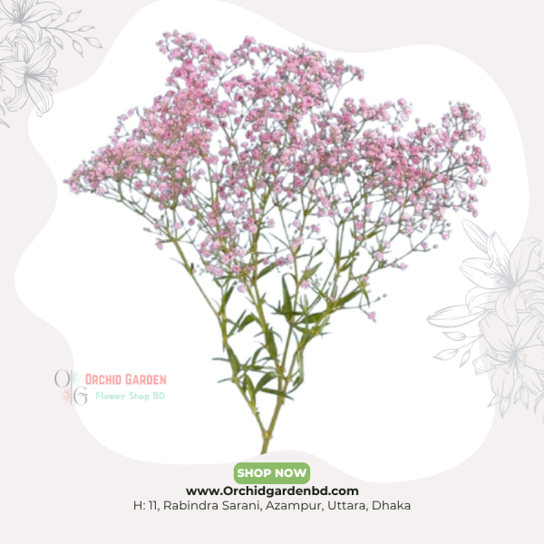 Pink Gypsy Blossom Bunch – Premium Edition