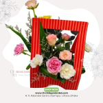 Rainbow Bloom Mixed Box Arrangement